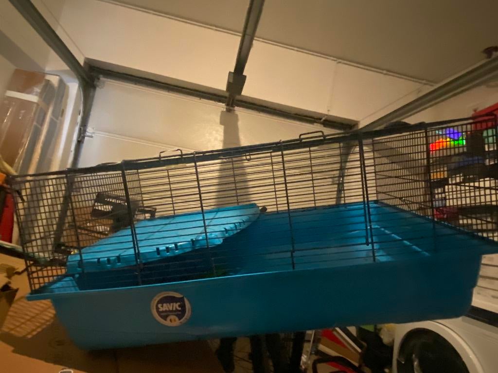 Cage et accessoires petits rongeurs, Ophalen, Zo goed als nieuw, Kooi