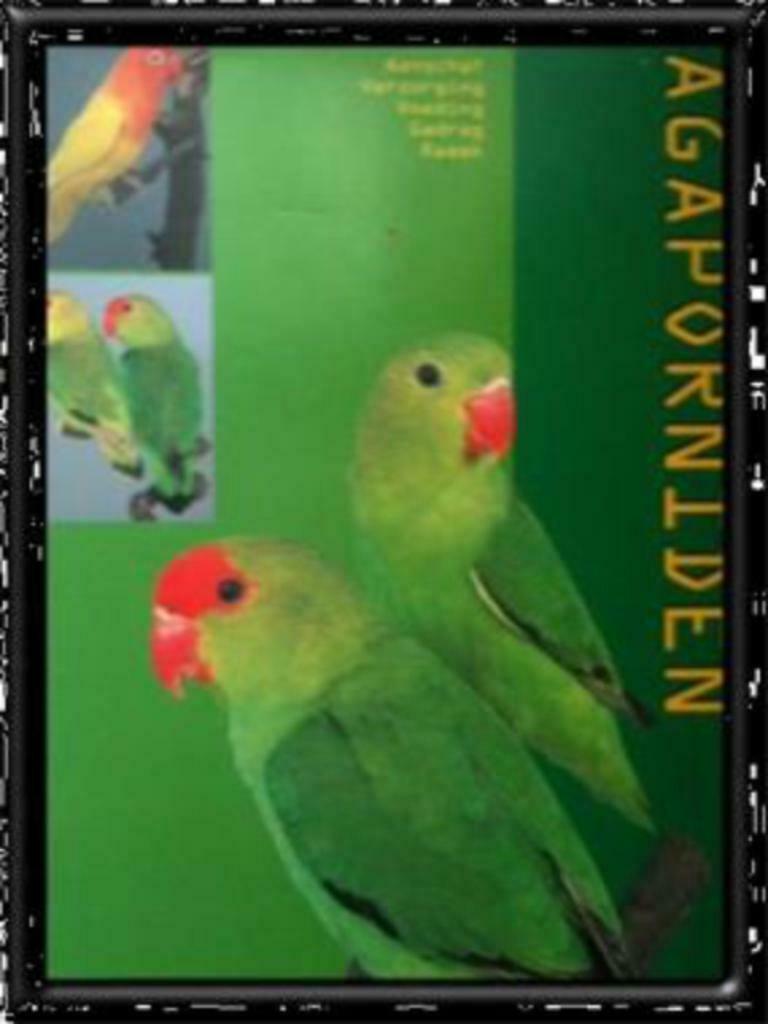 Agaporniden, Esther Verhoef, Boeken, Ophalen, Gelezen, Vogels