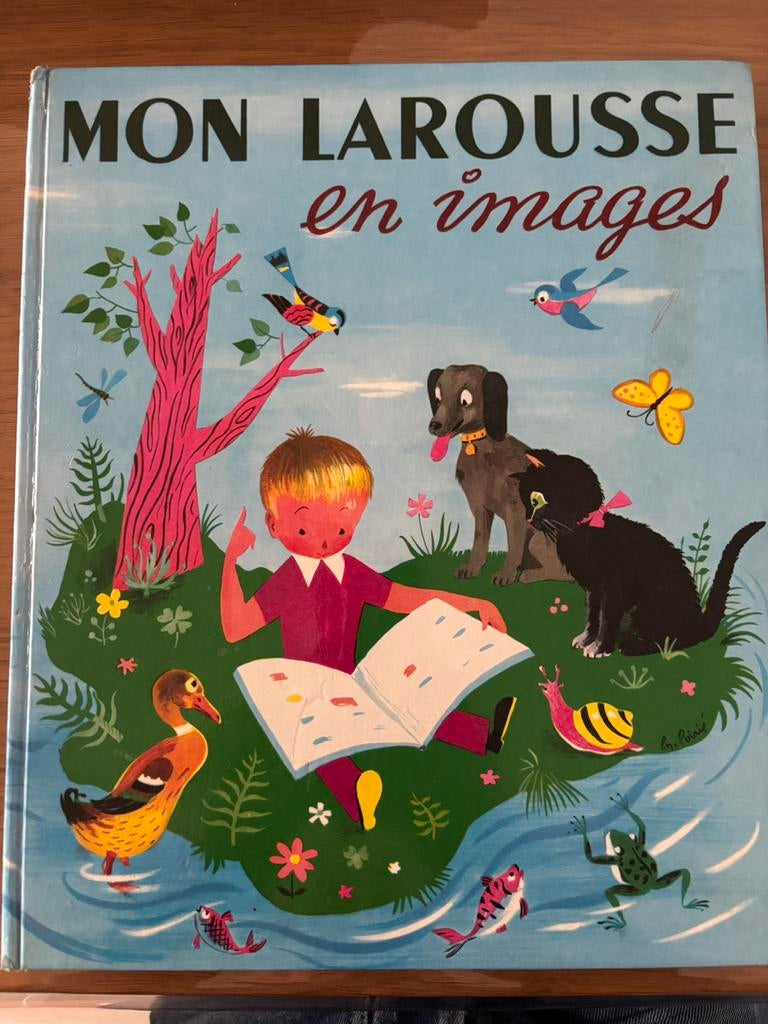 Mon Larousse en images, Enlèvement ou Envoi, Comme neuf, Non-fiction