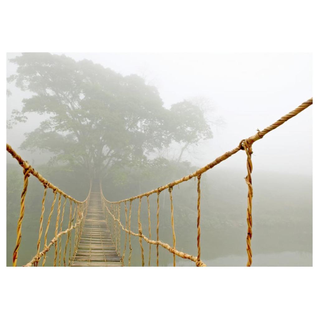 Postercanvas ikea 'jungle journey' 200x140 cm (incl frame), Enlèvement