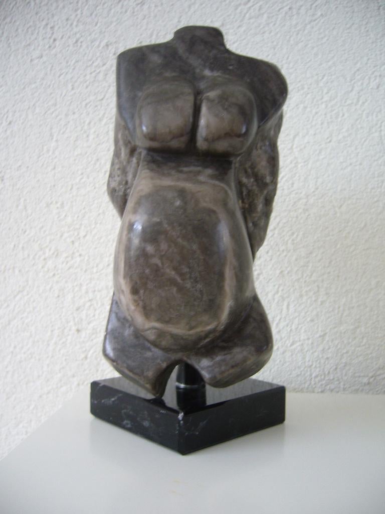 "Pregnant" - Cor van de Korput, Ophalen