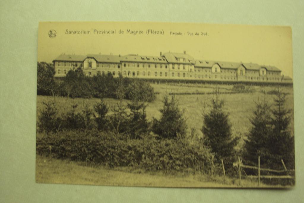 45492 - MAGNEE - FLERON - SANATORIUM PROVINCIAL, Envoi