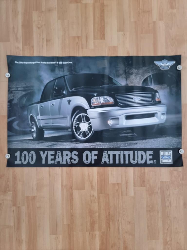 Ford F-150 Harley-Davidson, Ophalen of Verzenden, Nieuw, Rechthoekig Liggend, Reclame