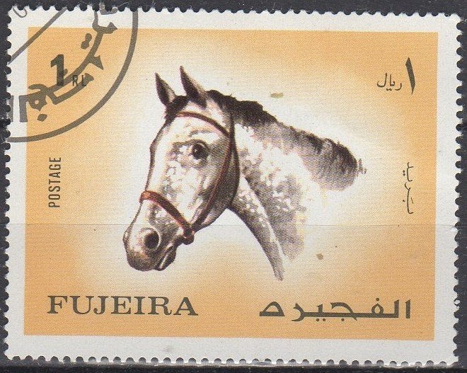 Fujeira - Arabisch paard - 1972, Enlèvement ou Envoi, Affranchi