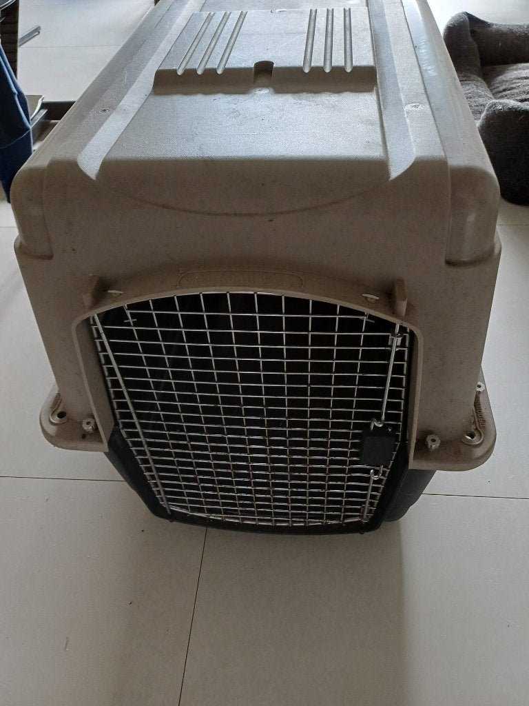 Hondenren, Ophalen, Hondenkennel, Gebruikt, 65 tot 100 cm