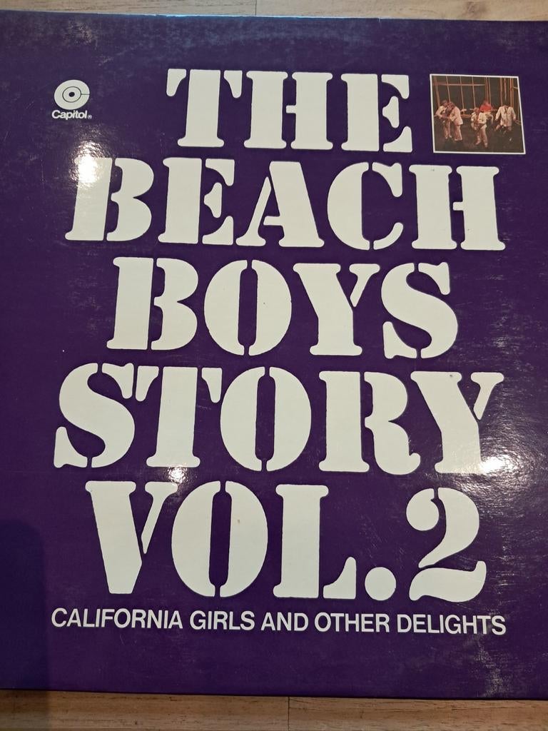Lp The Beach Boys, Gebruikt, Ophalen of Verzenden, Complilatie, 12 inch