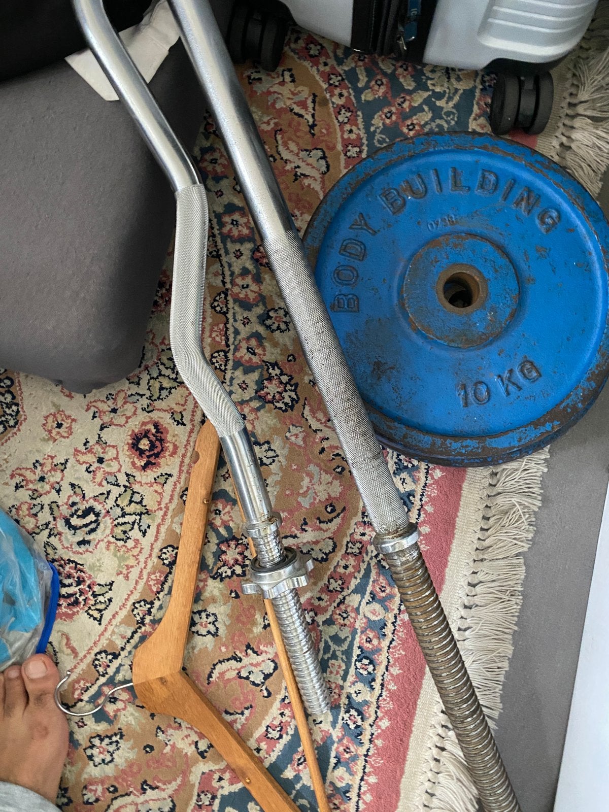 Gietijzeren halterschijven (Gent), Sport en Fitness, Fitnessmaterialen, Ophalen of Verzenden, Zo goed als nieuw, Halterschijven