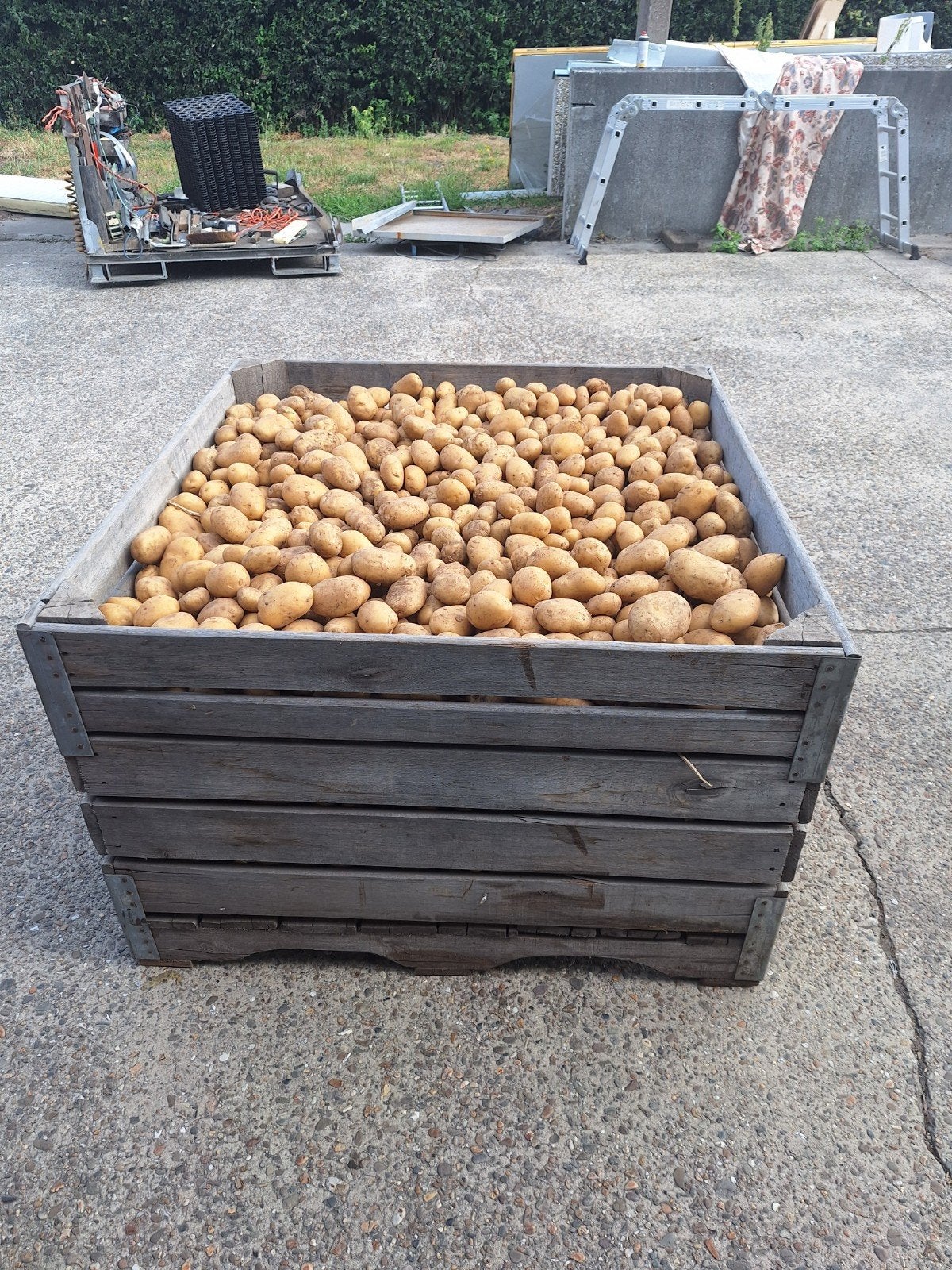 consumptie aardappelen, Diversen, Ophalen