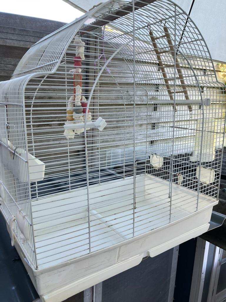 GROTE LUXE WITTE VOGELKOOI MET TOEBEHOREN NU 45 EURO, Enlèvement, Comme neuf, Autres matériaux, Cage à oiseaux