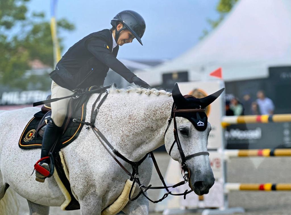 17 jarige Allround merrie!, Dieren en Toebehoren, Merrie