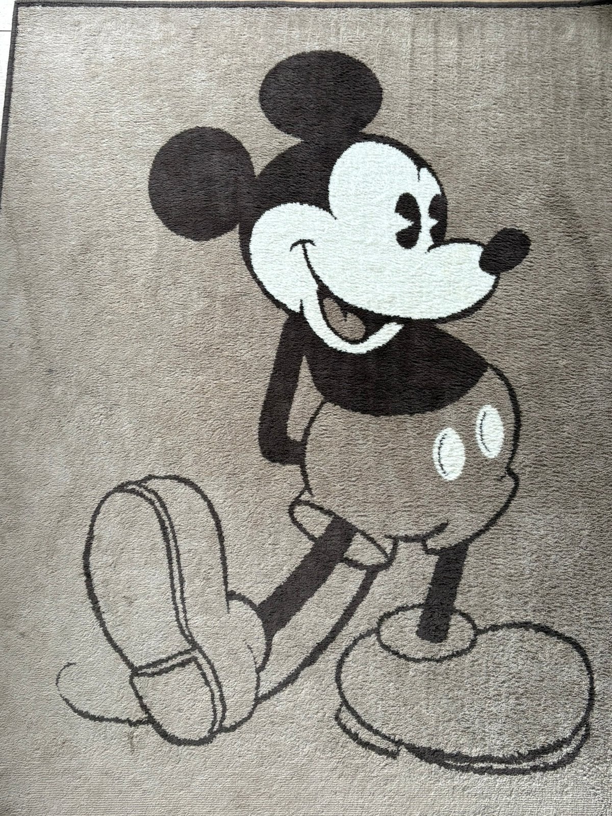 Bedmat Mickey Mouse, Ophalen, Gebruikt