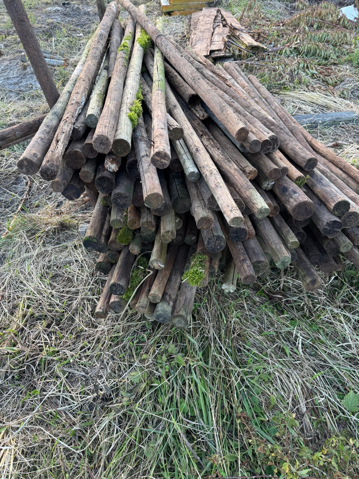 Houten palen, Ophalen, Gebruikt, Palen