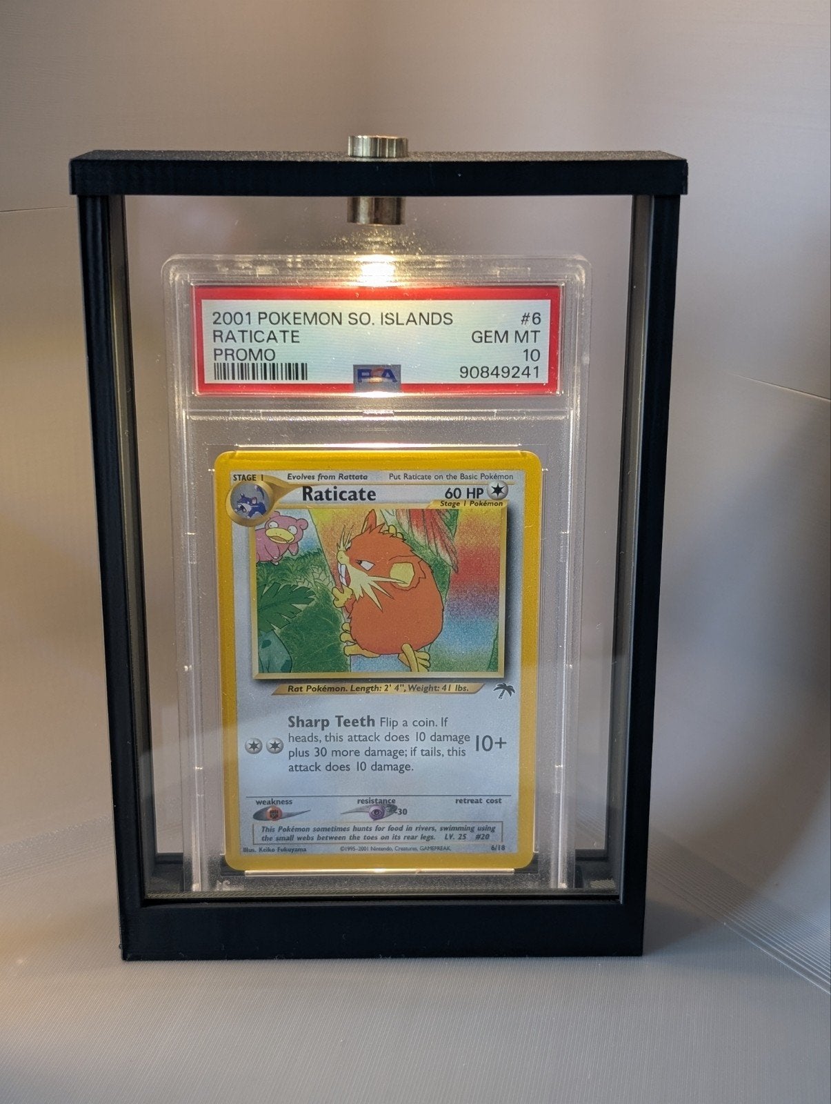 graded kaart display, Hobby en Vrije tijd, Ophalen of Verzenden, Nieuw