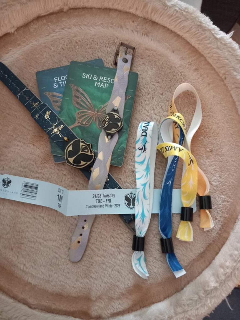 Tomorrowland lot, Verzamelen, Overige Verzamelen, Ophalen of Verzenden