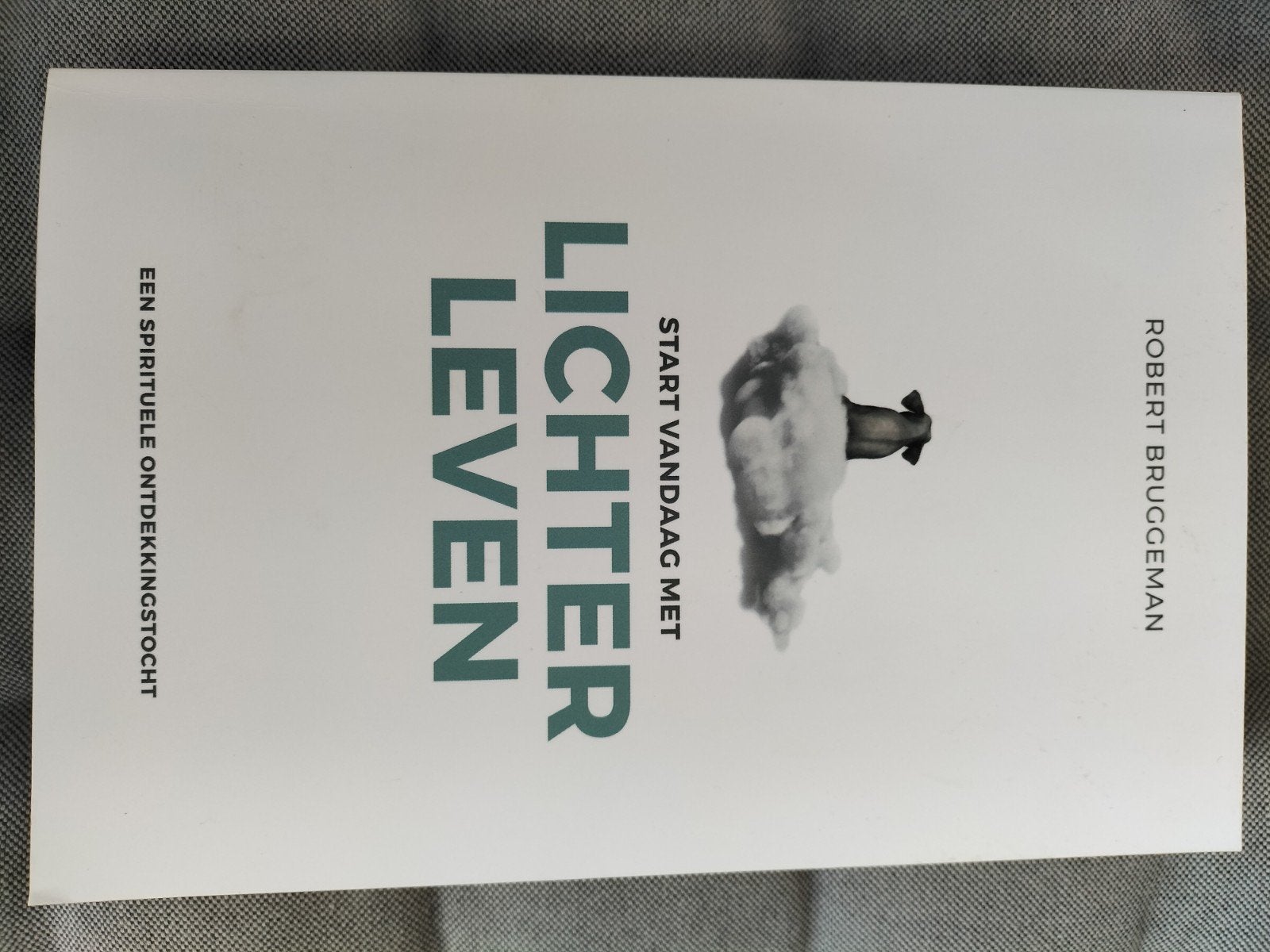 Robert Bruggeman - Start vandaag met lichter leven, Livres, Ésotérisme & Spiritualité, Enlèvement ou Envoi