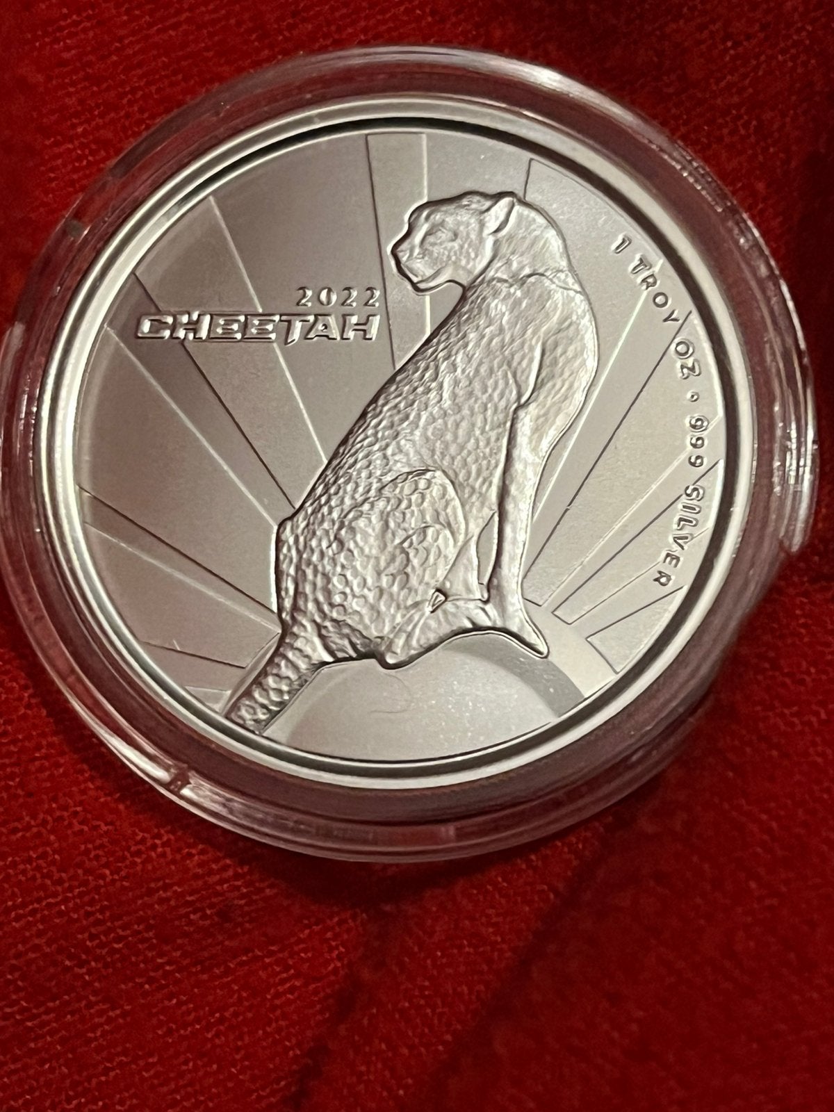 Zilveren mint van Scittsdale Mint 1oz Cheetah 2022 Kameroen, Ophalen of Verzenden, Zilver