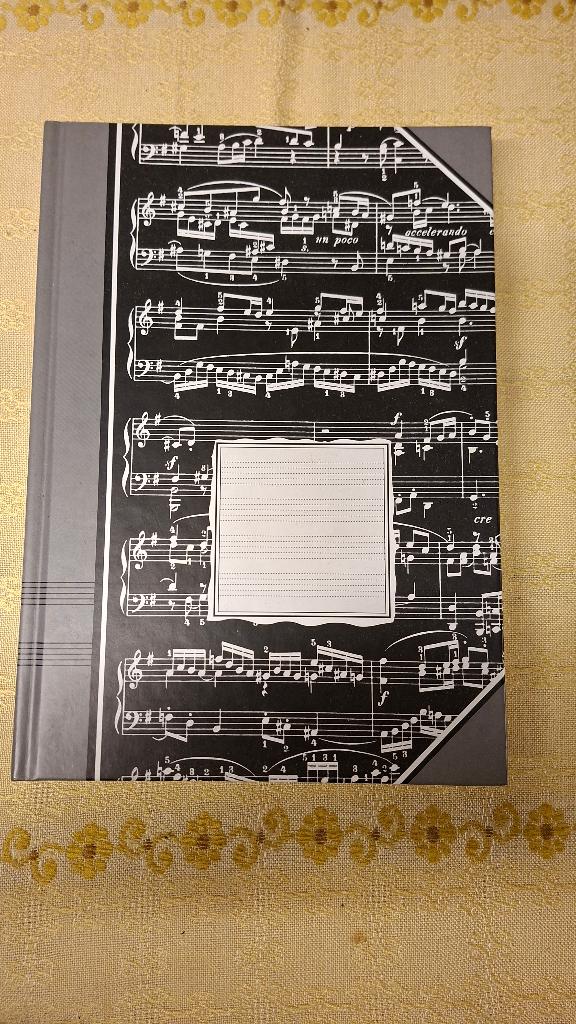 Nieuw schrift voor muziekliefhebber - notenschrift op kaft, Ophalen of Verzenden, Nieuw