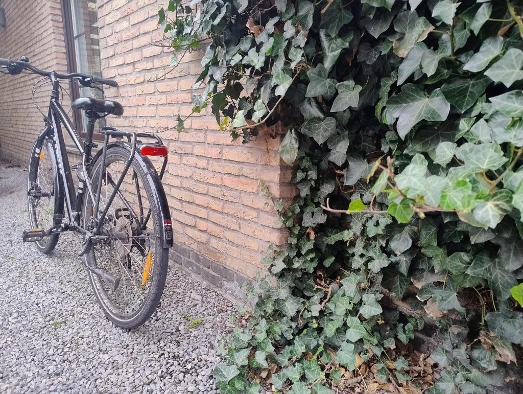 Trek Verve, Fietsen en Brommers, Ophalen, Zo goed als nieuw, Overige merken, Versnellingen