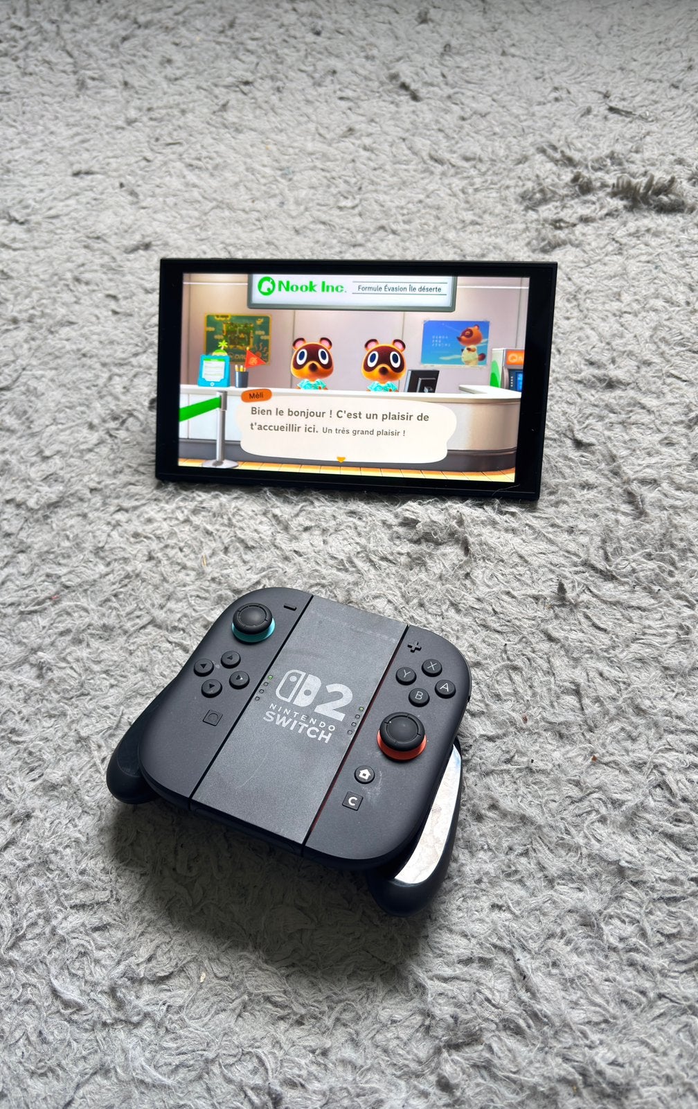 Nintendo Switch 2+Animal Crossing-console (onder garantie!!), Games en Spelcomputers, Spelcomputers | Nintendo Switch, Gebruikt
