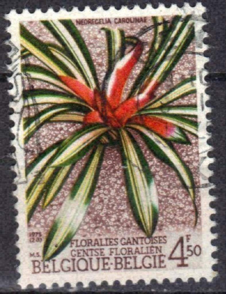 Belgique 1975 - Yvert 1741/OBP 1749 - Gand Floralien V (ST), Timbres & Monnaies, Envoi, Affranchi, Oblitéré