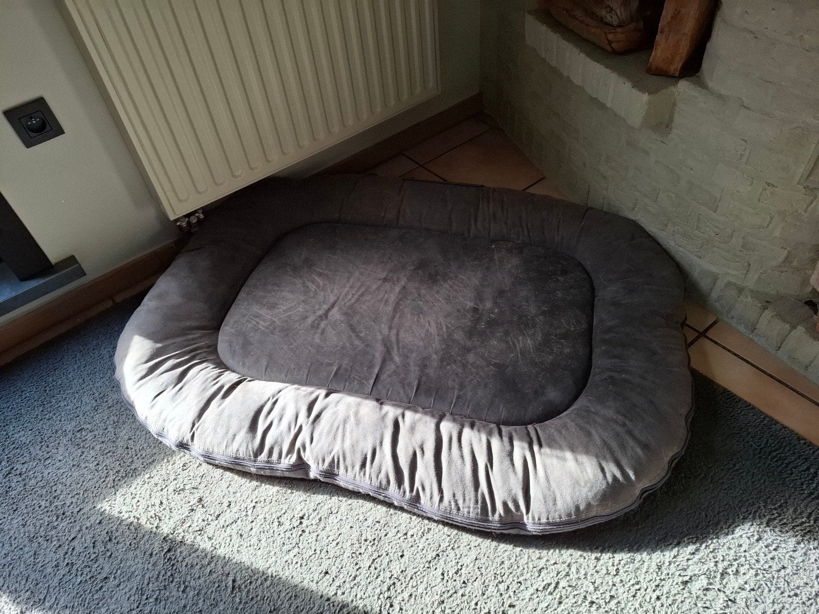 hondenmand XL, Dieren en Toebehoren, Ophalen, Gebruikt