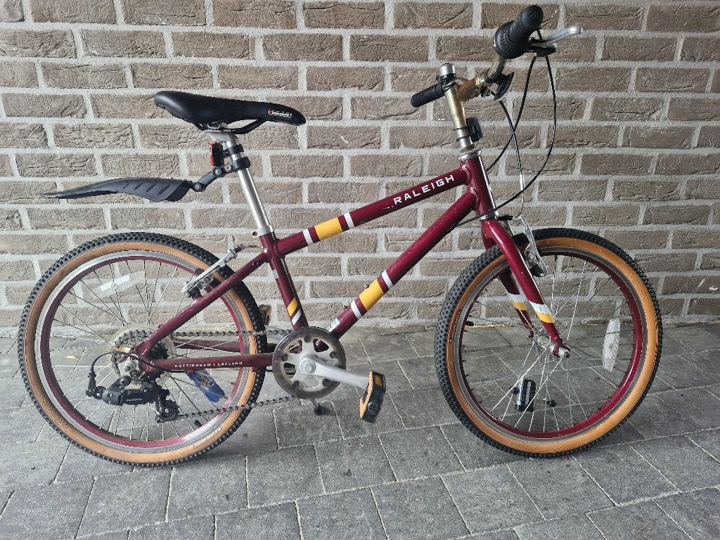 Vélo pour enfants, Vélos & Vélomoteurs, Enlèvement, Utilisé, Raleigh