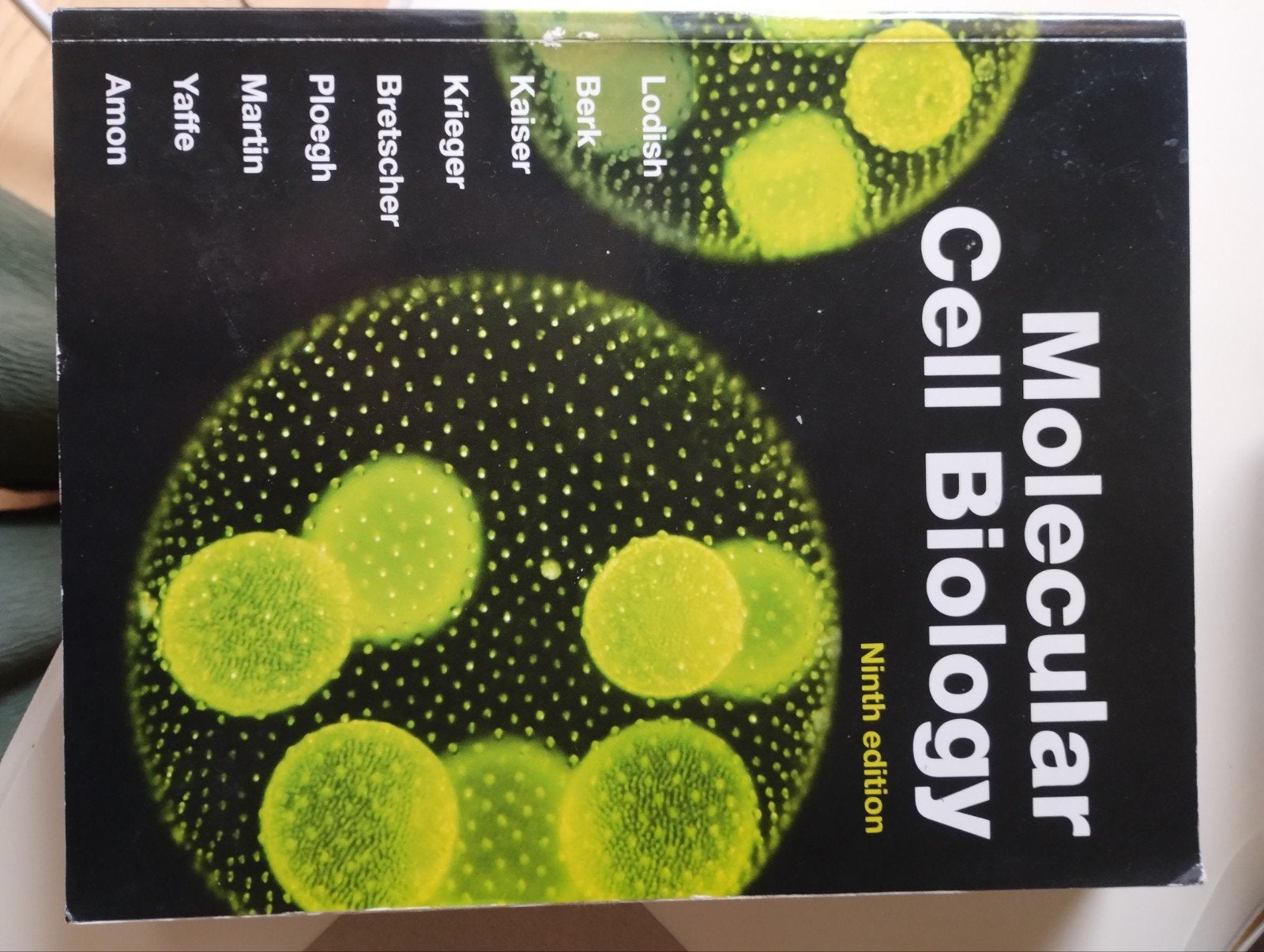 Molecular cell biology ninth edition, Boeken, Ophalen, Zo goed als nieuw, Hoger Onderwijs, Lodish