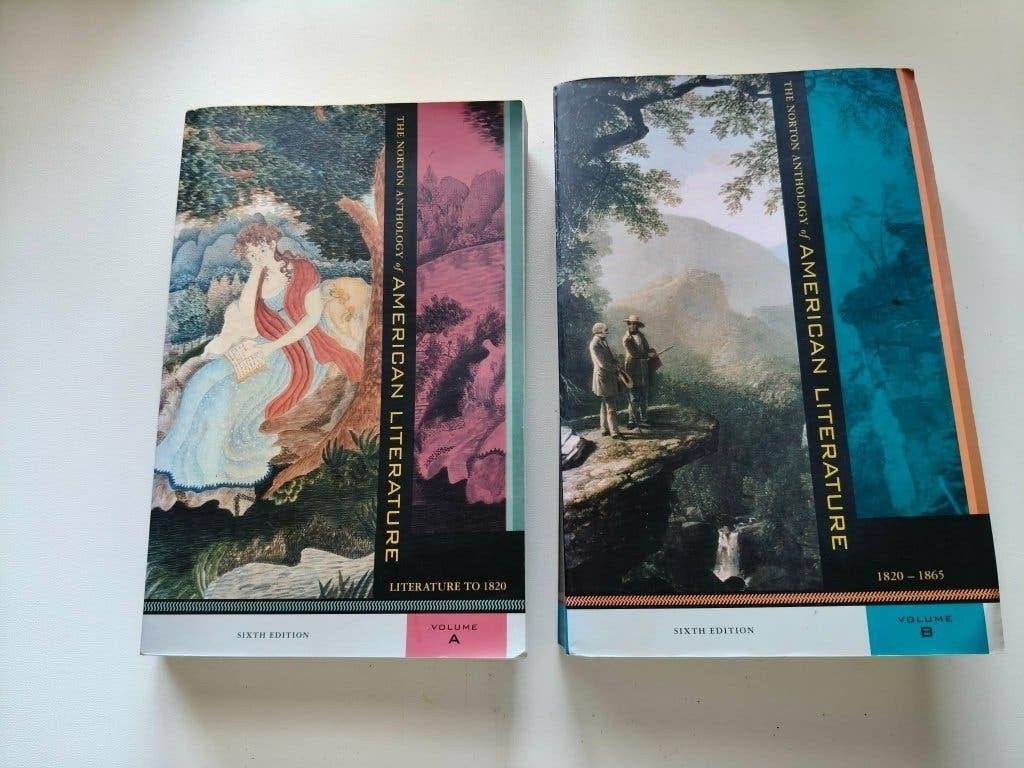 The Norton anthology of American Literature, Boeken, Ophalen of Verzenden, Gelezen