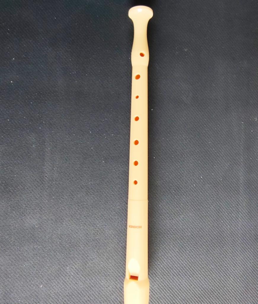 Flûte à bec Hohner, Musique & Instruments, Instruments à vent | Flûtes à bec, Enlèvement, Comme neuf, Avec valise, étui ou housse