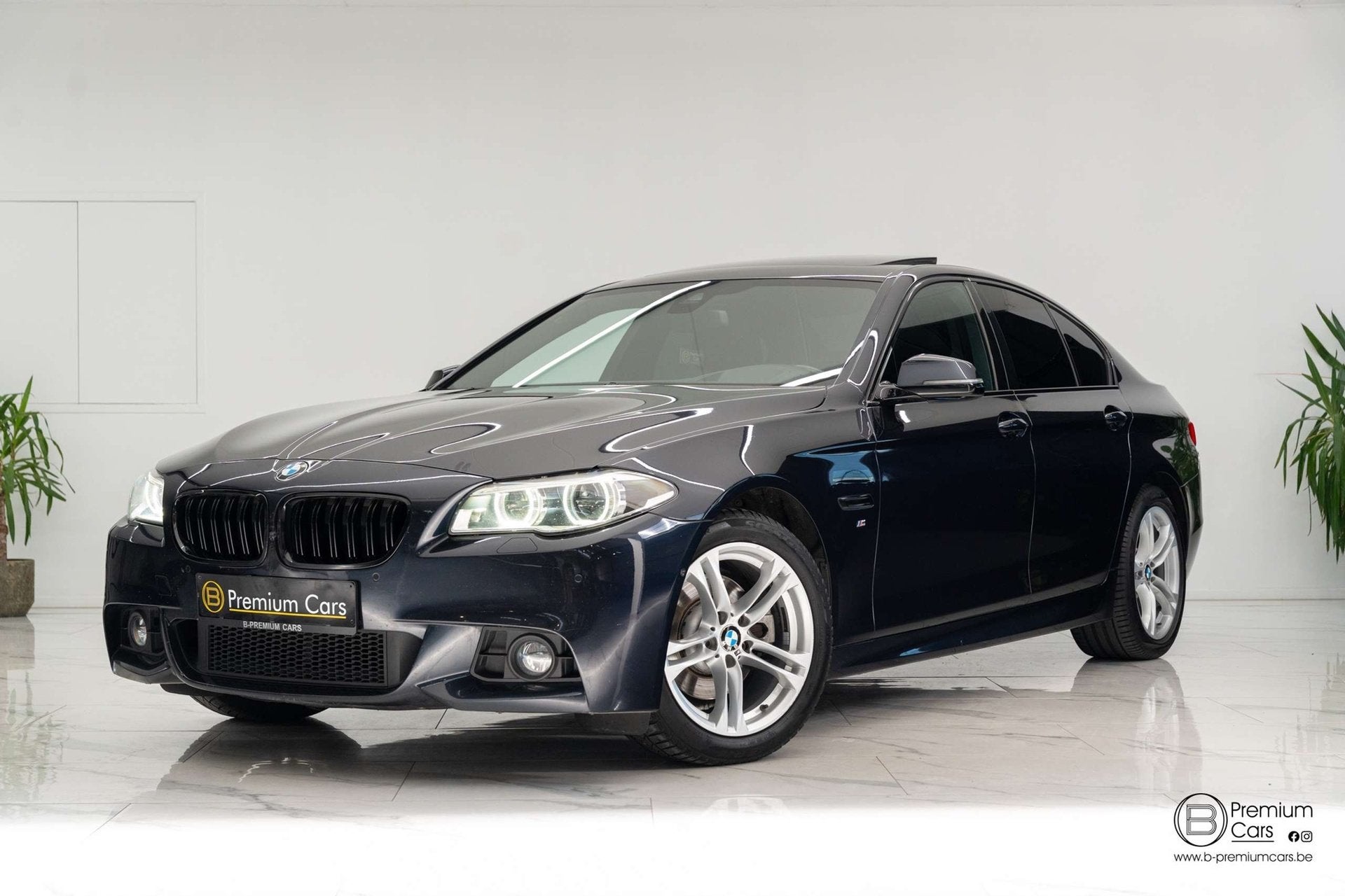 BMW 520 520D M-Pakket Facelift! Full! Open dak! Camera!, Auto's, Automaat, Blauw, 184 pk, Bedrijf
