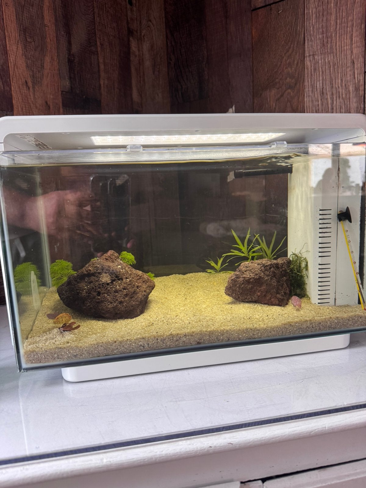 Aquarium + betta, Animaux & Accessoires, Enlèvement, Pompe, Comme neuf
