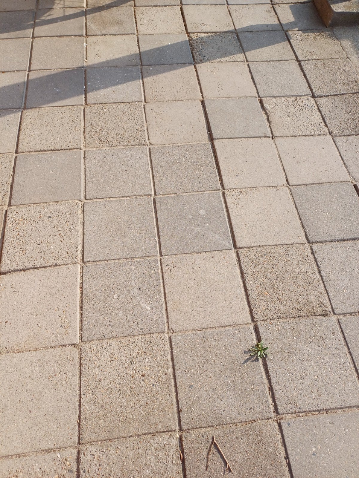 stoeptegels GRATIS uit te halen en mee te nemen, Tuin en Terras, Ophalen