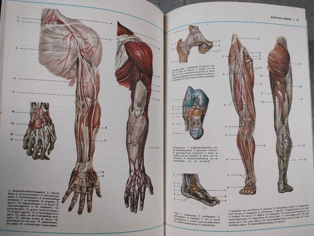 Nieuwe Medische Winkler Prins - 2 delen, Livres, Enlèvement ou Envoi, Comme neuf, Médecine, Série complète