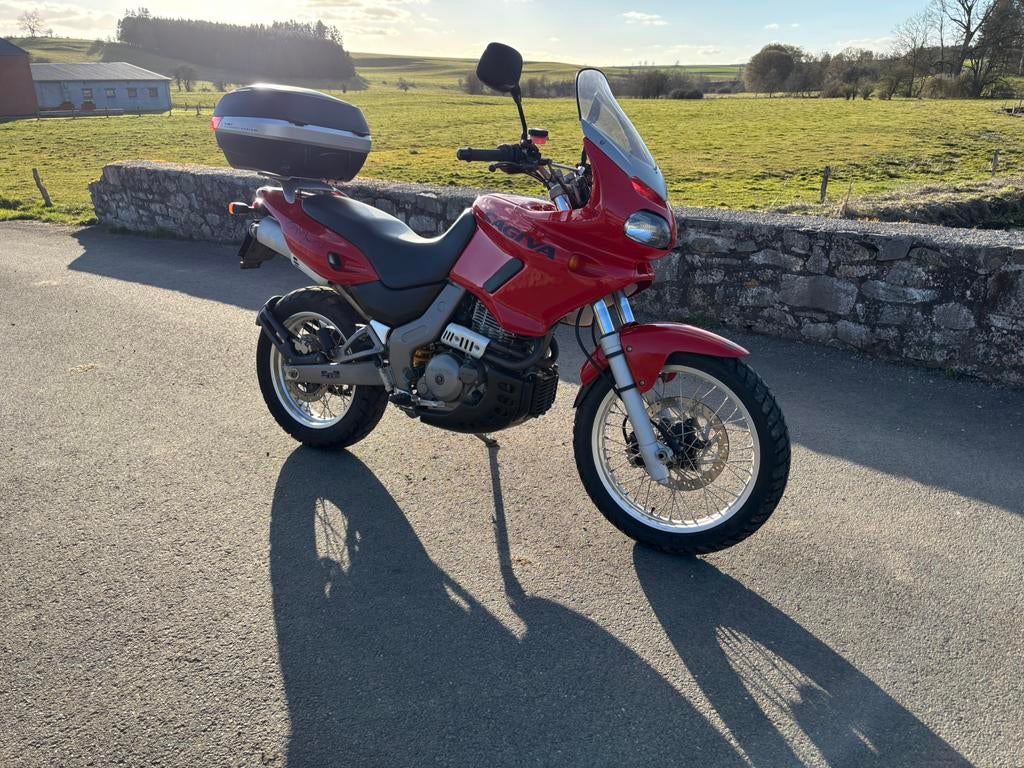 Cagiva Canyon 500, Motoren, Particulier