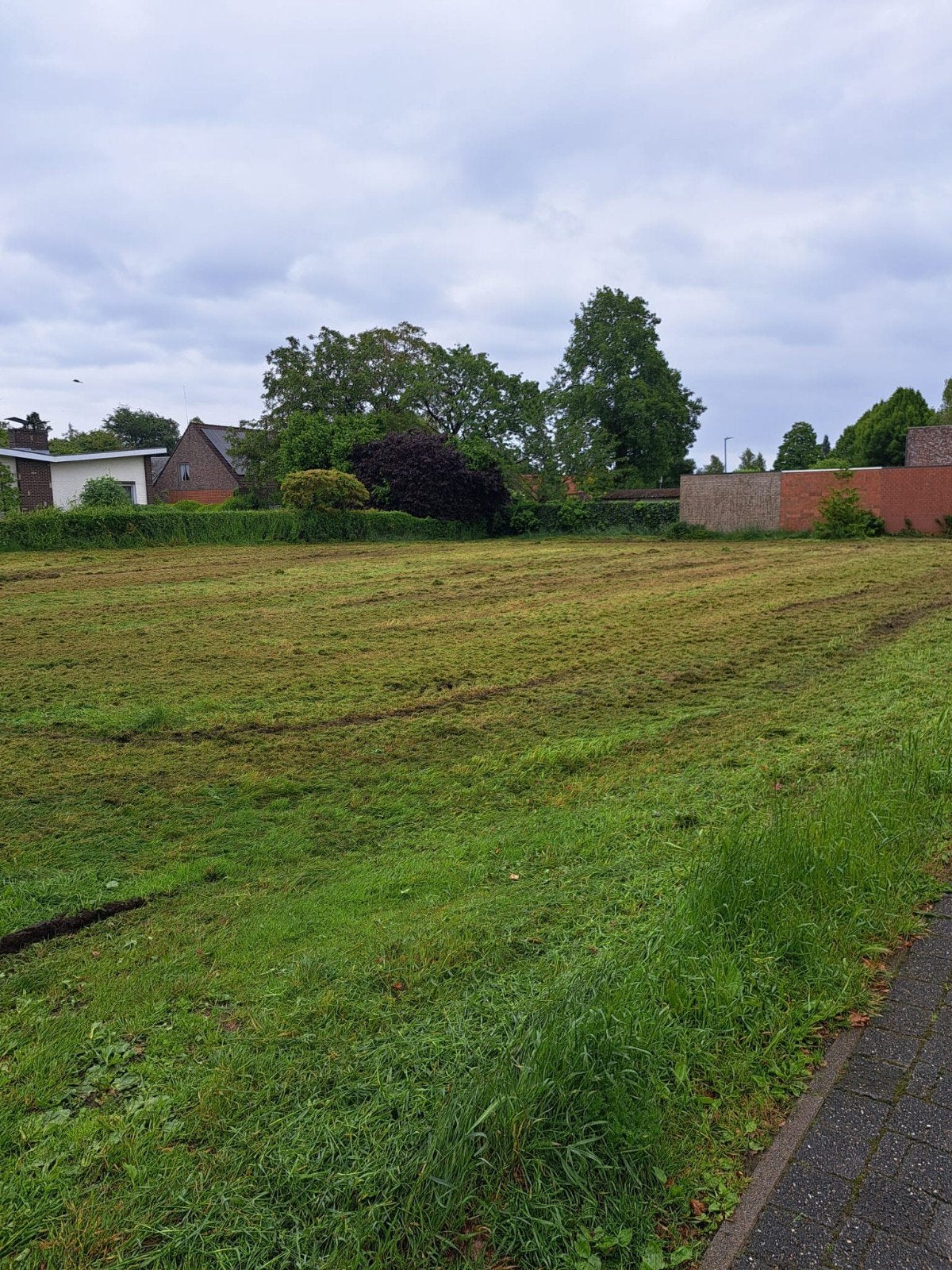 Te koop - bouwgrond in Minderhout - Hoogstraten, Immo, Gronden en Bouwgronden, Minderhout, 500 tot 1000 m²