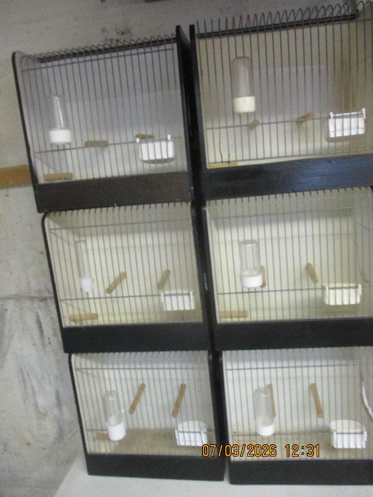 T.T. kooien     (hout)        Z.G.A.N., Dieren en Toebehoren, Ophalen, Zo goed als nieuw, Hout, Vogelkooi