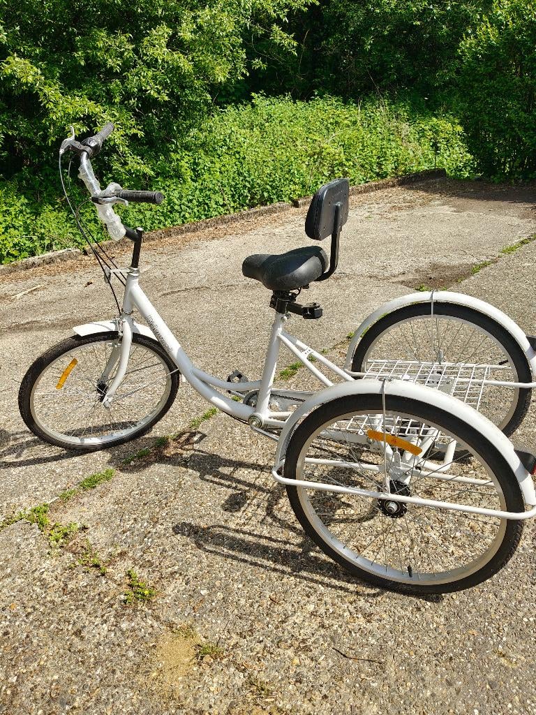 Fiets merk Ridgeyard, Fietsen en Brommers, Fietsen | Vouwfietsen, Zo goed als nieuw, Dames, Overige merken, Schijfrem, Versnellingen