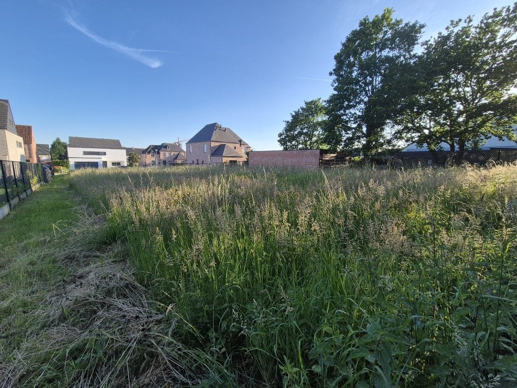 Grond / kleine weide te huur in heist op den berg, Heist-op-den-Berg, 1000 à 1500 m²