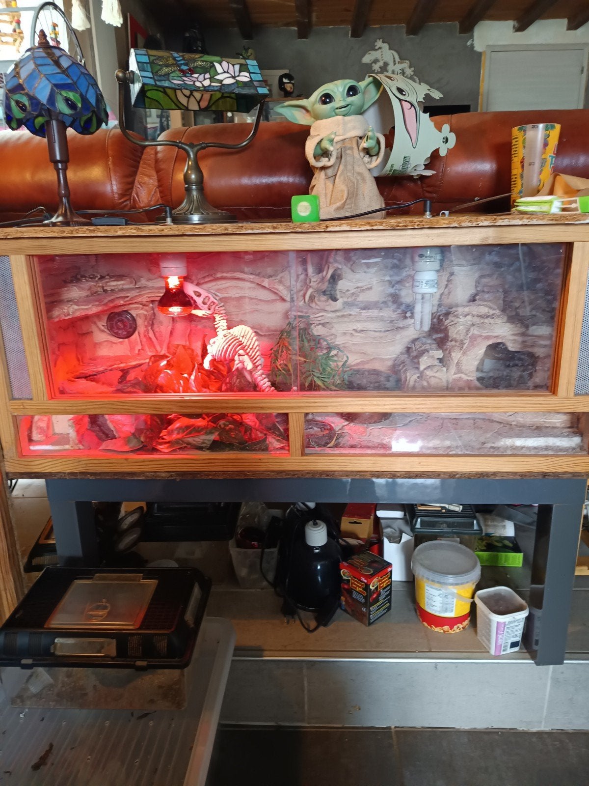Terrarium geckos, Animaux & Accessoires, Éclairage