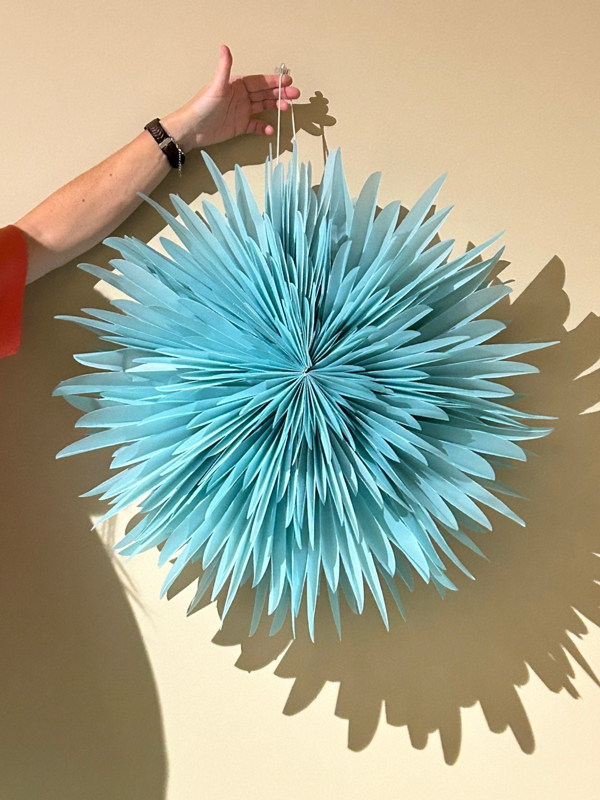 Wanddecoratie, Huis en Inrichting, Woonaccessoires | Wanddecoraties, Ophalen, Wandhanger, Nieuw, Kunststof