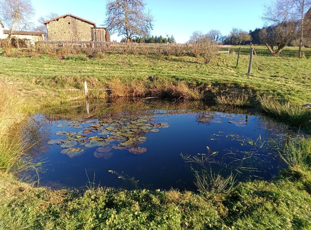 Complexe de vacances avec 2,3 ha de terrain, Immo, 6 pièces, Maison d'habitation, Campagne, Auvergne