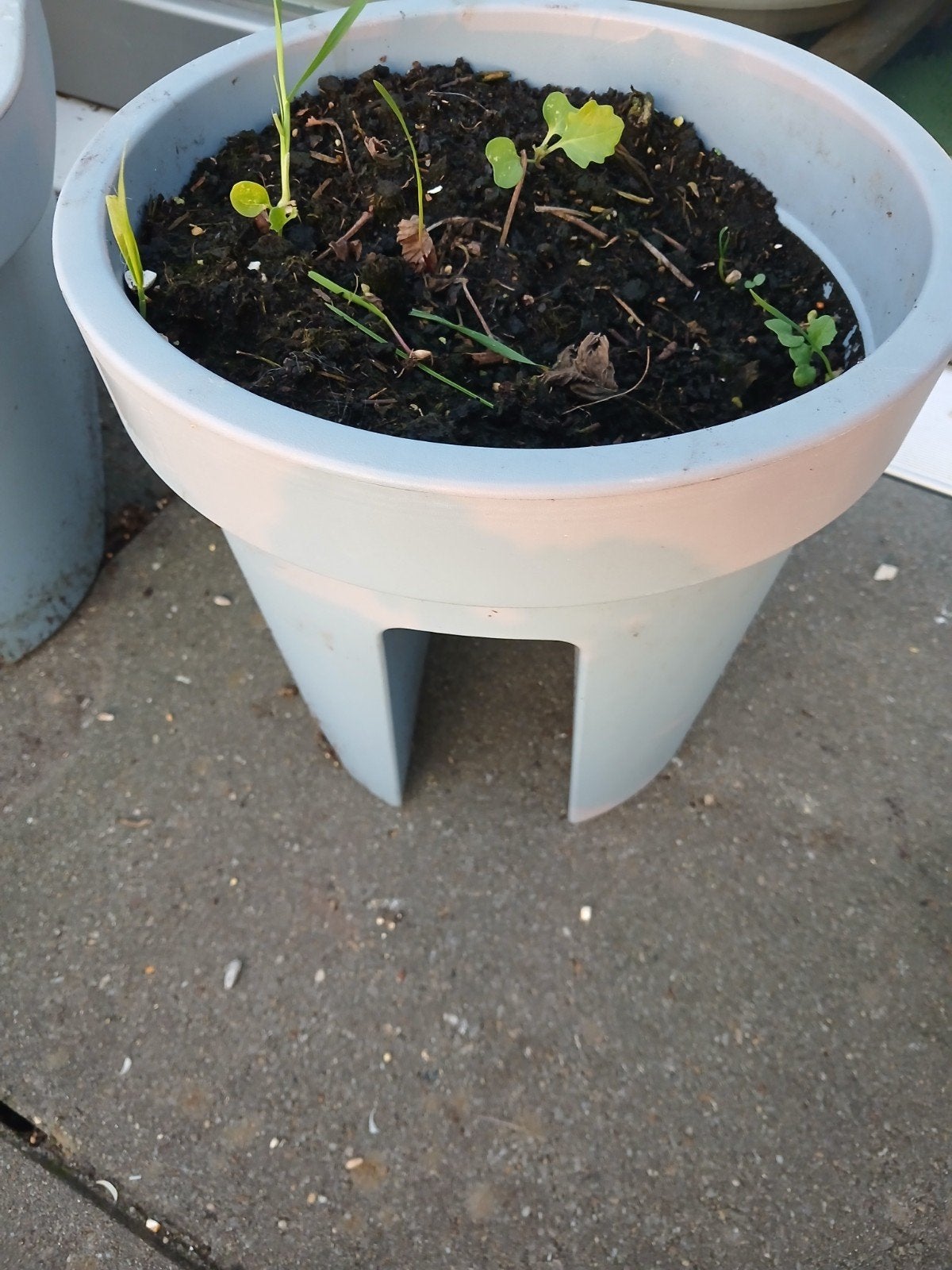 Ovalen bloempotten voor op de balustrade van een terras met, Ophalen, Balkon