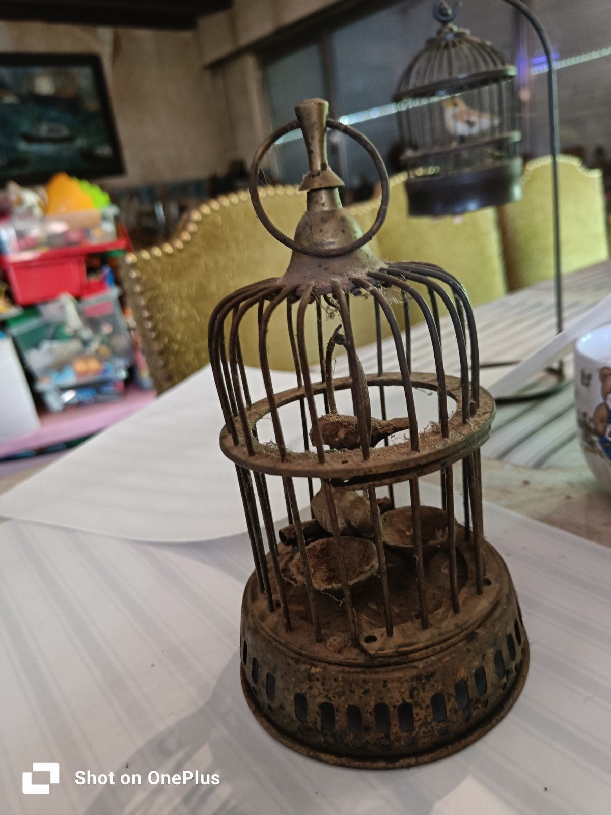 Vogelkooitje oud koper 20 CM hoogte, Antiek en Kunst, Ophalen of Verzenden, Koper