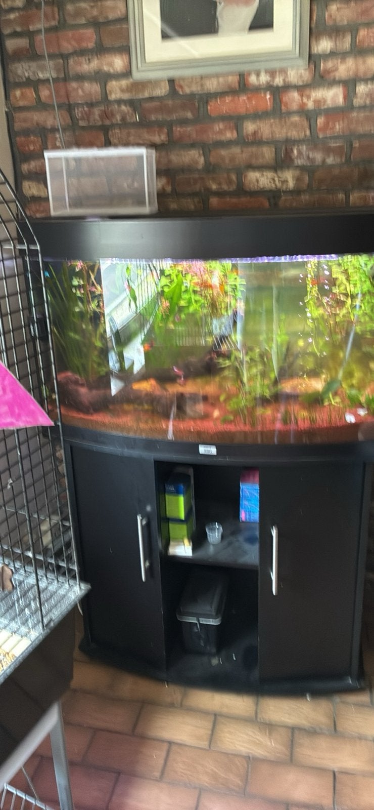 Aquarium 120 liter, Dieren en Toebehoren, Vis, Zoetwatervis