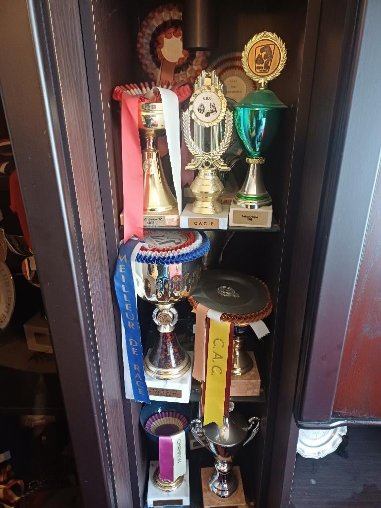 coupes  trophees, Enlèvement
