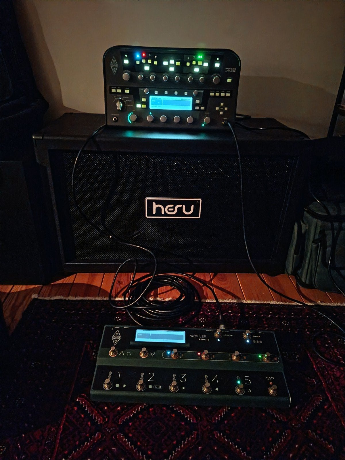 Kemper Profiler powerhead incl. Remote + Hesu m212 modern, Muziek en Instrumenten, Ophalen