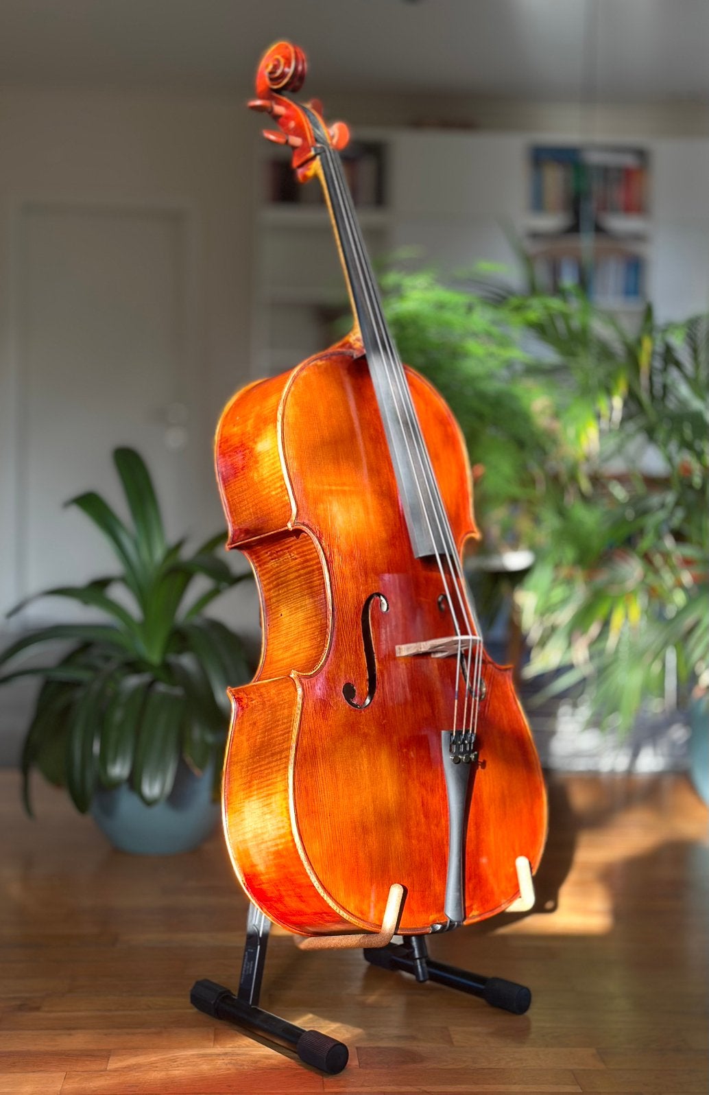 Prachtige Handgebouwde cello - 4/4, Ophalen, Zo goed als nieuw, 4/4-cello
