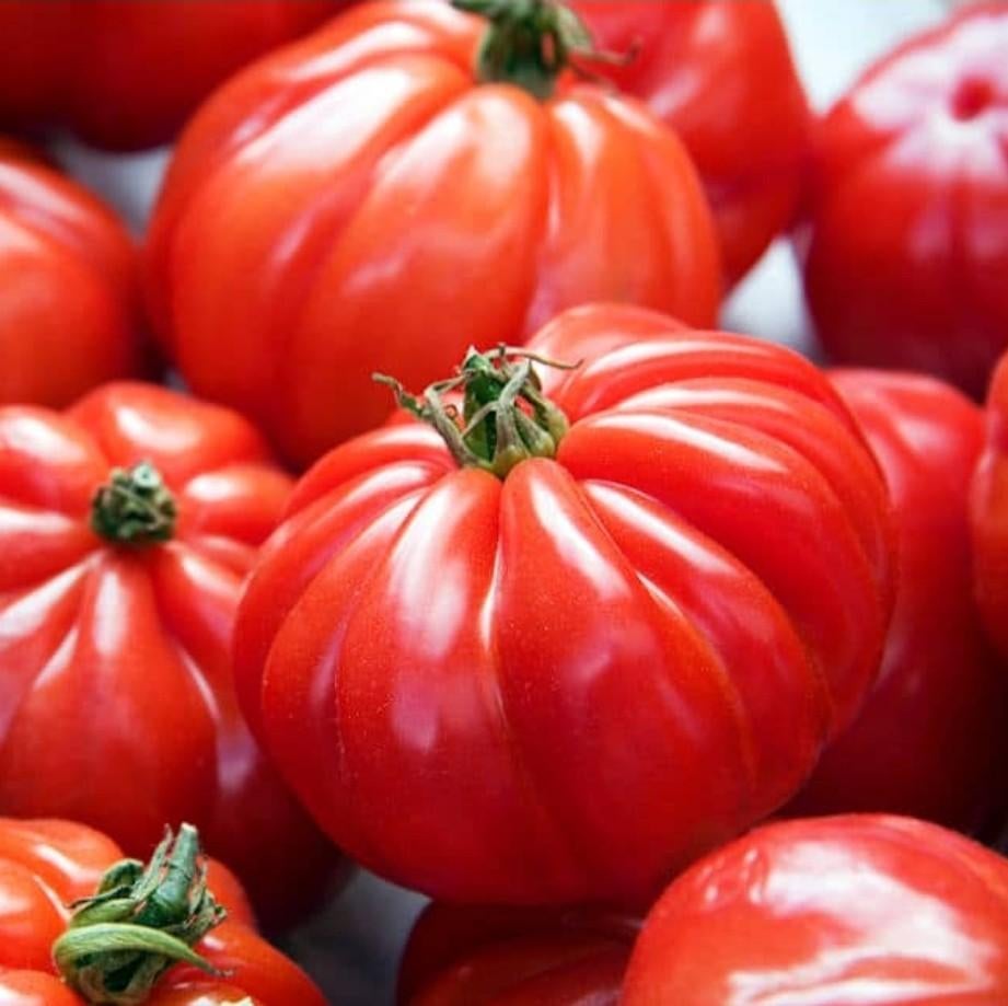 Graines tomate Marmande, Enlèvement ou Envoi