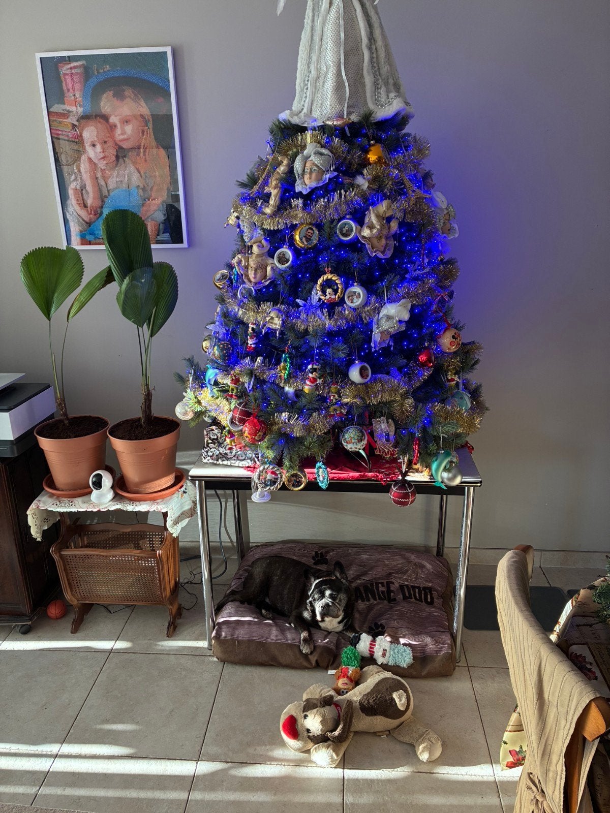 te koop zeer mooie kerstboom, Ophalen of Verzenden