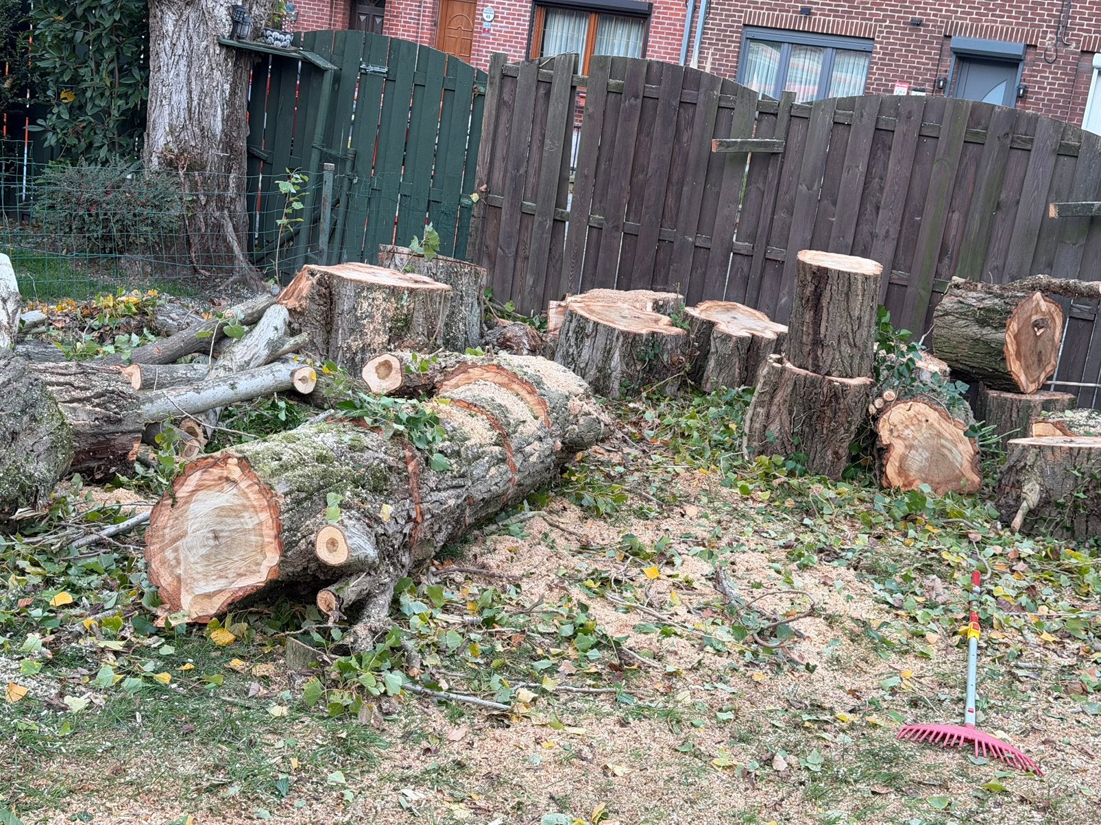 Bois de peuplier, 6 m³ of meer, Ophalen, Overige houtsoorten, Stammen